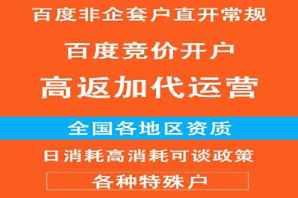 信息流广告代理项目案例分析